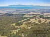 125 Nippards Track, Woorarra West, Vic 3960-Image