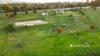 125 Pedder Street, Darnum, Vic 3822-Image