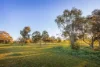 125 Sarah Street, Gerogery, NSW 2642-Image