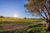 125 Sarah Street, Gerogery, NSW 2642-Image