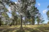 125 Theresa View Road, Theresa Park, NSW 2570-Image