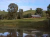 126 Godwills Road, Mansfield, Vic 3722-Image