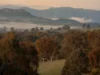 126 Godwills Road, Mansfield, Vic 3722-Image
