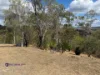 126 Taylor Street, Moongan, Qld 4714-Image