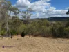 126 Taylor Street, Moongan, Qld 4714-Image
