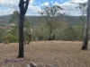 126 Taylor Street, Moongan, Qld 4714-Image