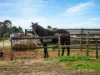 1260 Oldina Road, Oldina, Tas 7325-Image