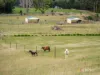 1260 Oldina Road, Oldina, Tas 7325-Image
