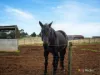1260 Oldina Road, Oldina, Tas 7325-Image