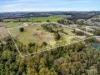 1260 Oldina Road, Oldina, Tas 7325-Image
