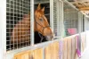 127 School Lane, Cambrian Hill, Vic 3352-Image