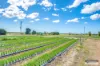 1271 Moore Park Road, Gooburrum, Qld 4670-Image