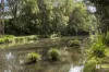 1277 Numinbah Road, Chillingham, NSW 2484-Image