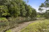 1277 Numinbah Road, Chillingham, NSW 2484-Image