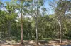 128 Nancol Drive, Tallebudgera Valley, Qld 4228-Image