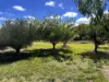 128 Wheeo Road, Grabben Gullen, NSW 2583-Image