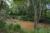 129 Featherstones Road, Sherwood, NSW 2450-Image