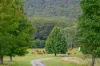 129 Featherstones Road, Sherwood, NSW 2450-Image
