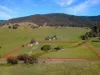 1291 Brookville Road, Brookville, Vic 3896-Image