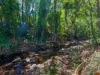 13-15 Hives Street, Gordonvale, Qld 4865-Image
