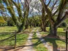 13-15 Hives Street, Gordonvale, Qld 4865-Image