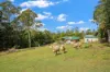 13 Attunga Court, Witta, Qld 4552-Image