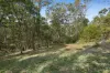 13 Karragata Court, Tallebudgera, Qld 4228-Image