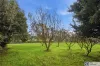 13 NIRTA DRIVE, Murrumbateman, NSW 2582-Image