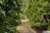 13 NIRTA DRIVE, Murrumbateman, NSW 2582-Image