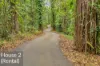 1304 Pine Creek Road, East Trinity, Qld 4871-Image