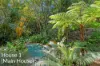 1304 Pine Creek Road, East Trinity, Qld 4871-Image