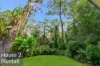 1304 Pine Creek Road, East Trinity, Qld 4871-Image