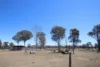1308C Torrington Road, Stannum, NSW 2371-Image