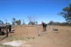 1308C Torrington Road, Stannum, NSW 2371-Image