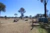 1308C Torrington Road, Stannum, NSW 2371-Image