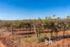 131 Lobban Road, Monash, SA 5342-Image