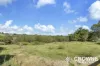 131 Mahons Road, Pine Mountain, Qld 4306-Image