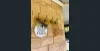 1310 Sandy Creek Road, McCullys Gap, NSW 2333-Image
