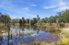 1315 Selma Road, Emerald, Qld 4720-Image
