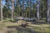 132 Breeze Way, Verges Creek, NSW 2440-Image