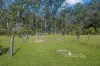 1321 Upper Rollands Plains Road, Upper Rollands Plains, NSW 2441-Image