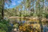 1321 Upper Rollands Plains Road, Upper Rollands Plains, NSW 2441-Image