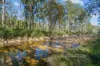 1321 Upper Rollands Plains Road, Upper Rollands Plains, NSW 2441-Image