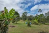 1325 Mount Fox Road, Mount Fox, Qld 4850-Image