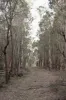 134 Gumnut Crescent, Bungonia, NSW 2580-Image