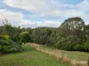 135 Mason Road, Jindivick, Vic 3818-Image