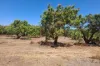 135 Trenow Road, Darwin River, NT 0841-Image