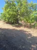135 Trenow Road, Darwin River, NT 0841-Image