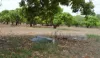 135 Trenow Road, Darwin River, NT 0841-Image