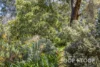 135 Weymouth Road, Coromandel East, SA 5157-Image